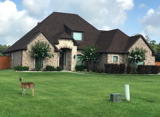 Architectural shingle by DXT Roofing